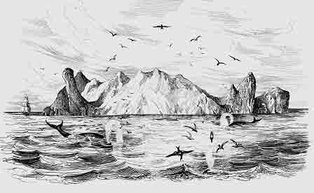 Tiny island of Trinidade. Based on artwork by M. de Sainson.